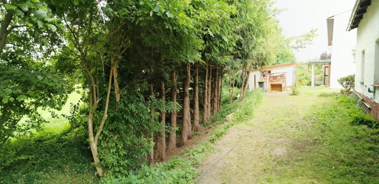 Gemuetliches Ferienhaus "An Der Schilde" In Renzow Luaran gambar